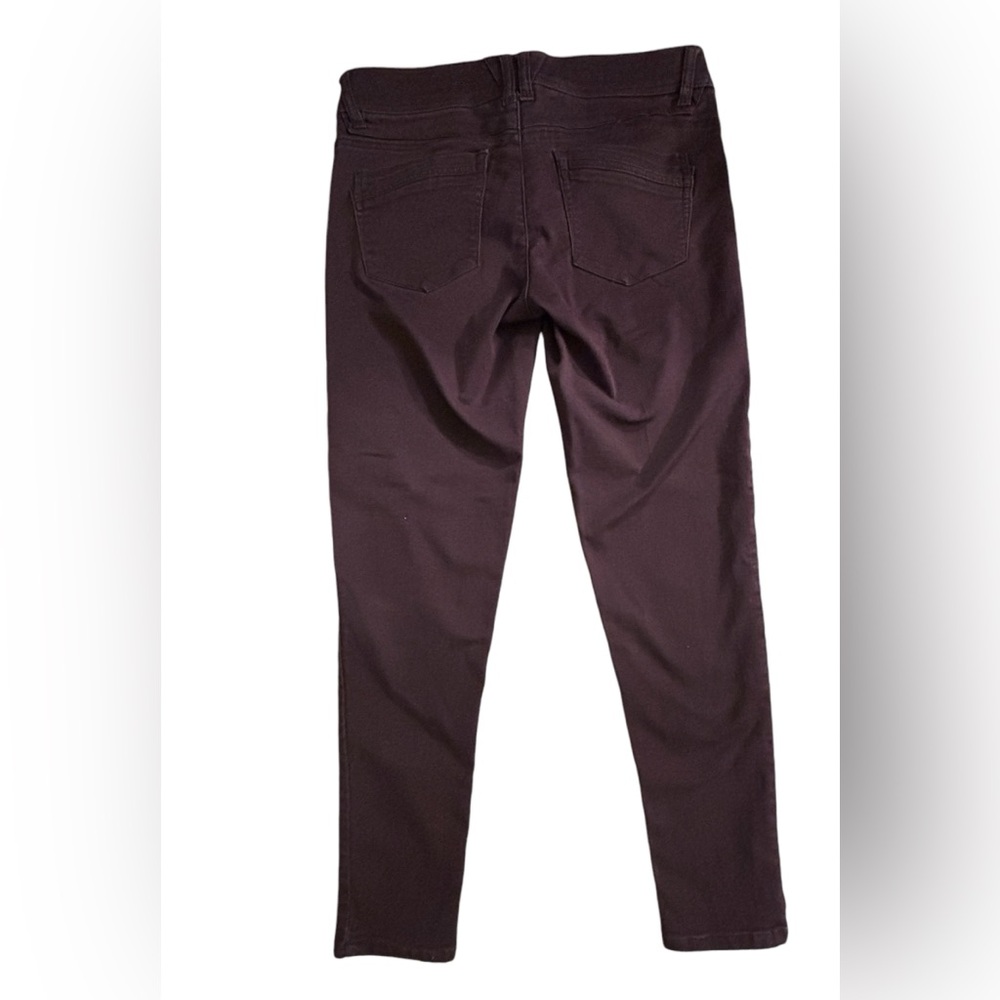 Democracy Stretcy “Abs” Skinny Jeans - Great Fall Color - Picture 4 of 10